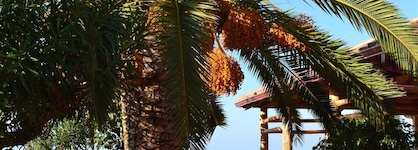 Residence New Paradise