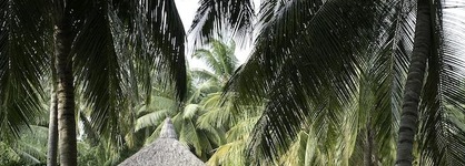 Niva Kuramathi Maldives