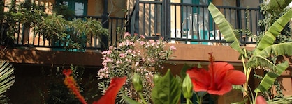 Jasmin Beach Hotel - All Inclusive