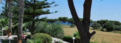 Blue Nest