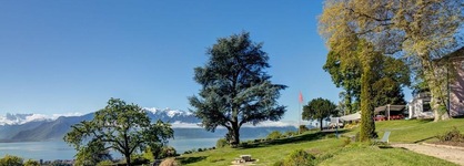 Hotel Du Leman