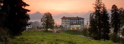 Hotel Villa Honegg