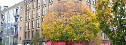 Marrable's Farringdon Hotel