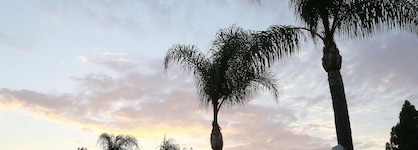 Sky Palm Motel