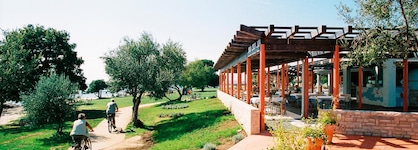 Camping Polari