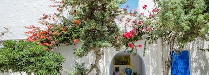 Apollon Rooms