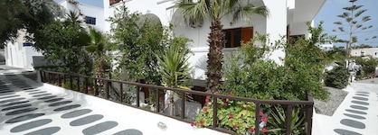 Sunflower Santorini