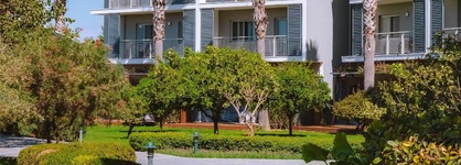 Barut Goia