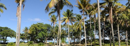 Blue Jacktar Hotel