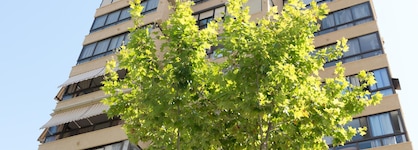 Apartamentos Gemelos 4 - Beninter