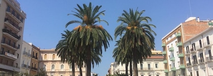 Hotel Plaza