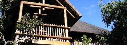 Amafu Forest Lodge
