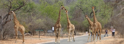 Unembeza Boutique Lodge & Spa