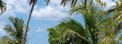 Atremaru Jungle Retreat
