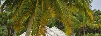 Kandima Maldives
