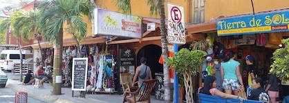 Hotel La Palapa