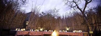 Sausage Tree Safari Camp