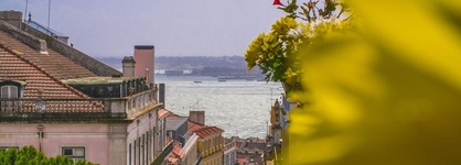 Casinha das Flores
