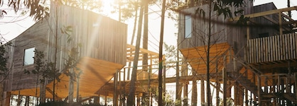 Bukubaki Ecosurf