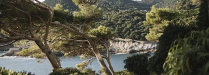 Apartaments Cap Sa Sal