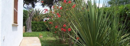 Villa Pastor