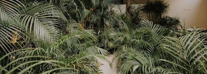 The Strabon Tulum