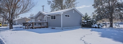 Colorado Springs Uccs Grey Cottagedog Friendly!