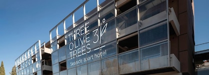 3 Olive Trees