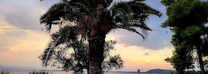 O Paradise Beach Resort & Spa