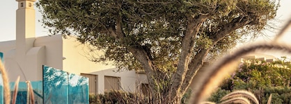 Nilea Island Living