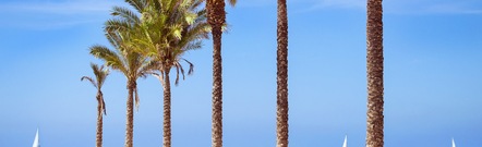 Torrevieja