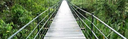 Monteverde