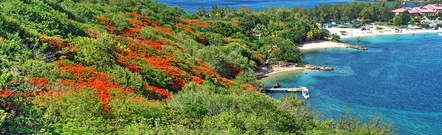Rodney Bay
