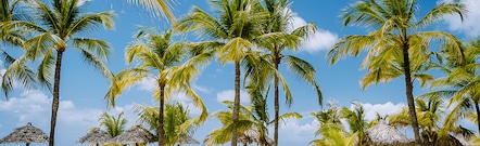 Palm Beach
