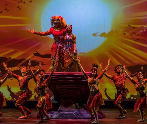Image Disney Wonder 14