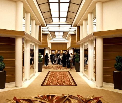 Image Horizon  10