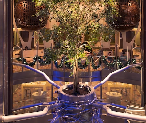 Image Celebrity Reflection 25