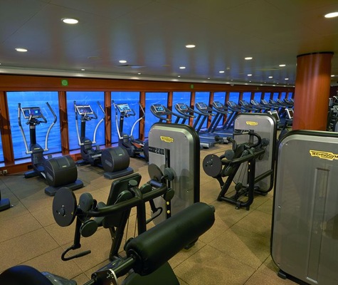 Image Norwegian Gem 26