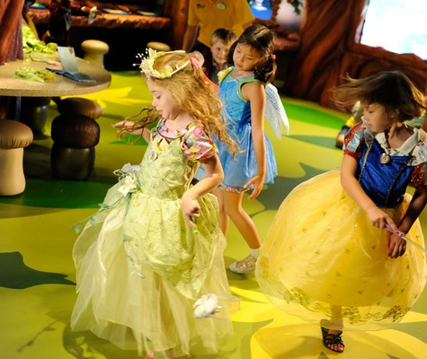 Image Disney Dream 24
