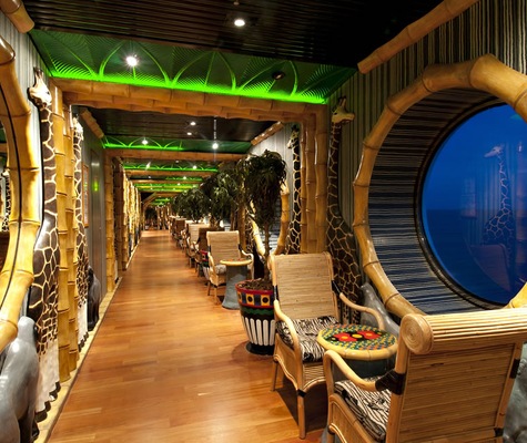 Image Carnival Spirit 14