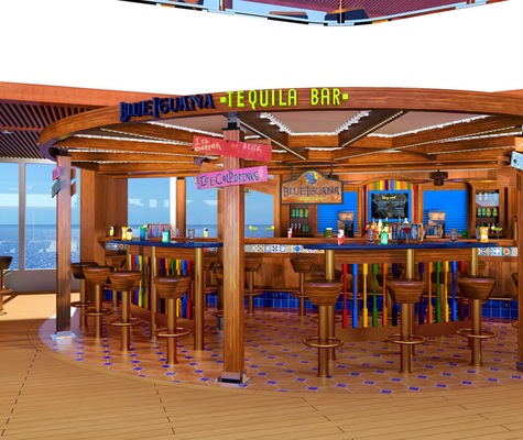 Image Carnival Vista 43