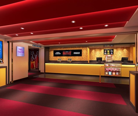Image Carnival Vista 35
