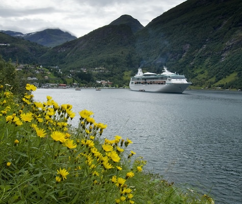 Image Vision of the Seas 16