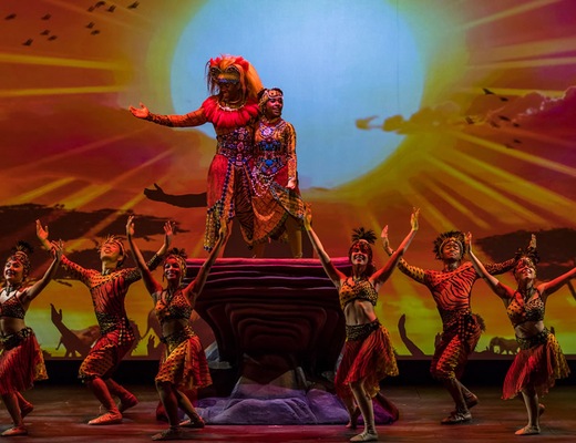Image Disney Wonder 14