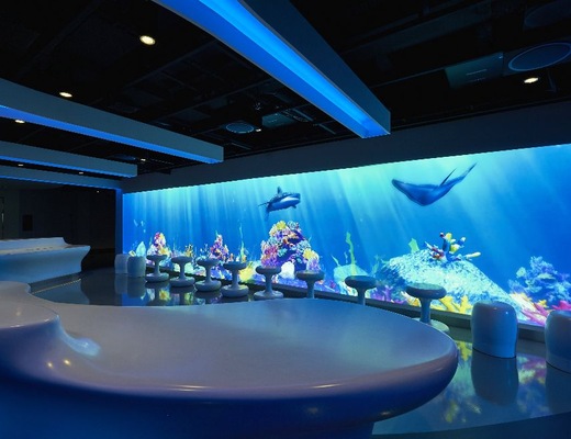 Image Norwegian Joy 11
