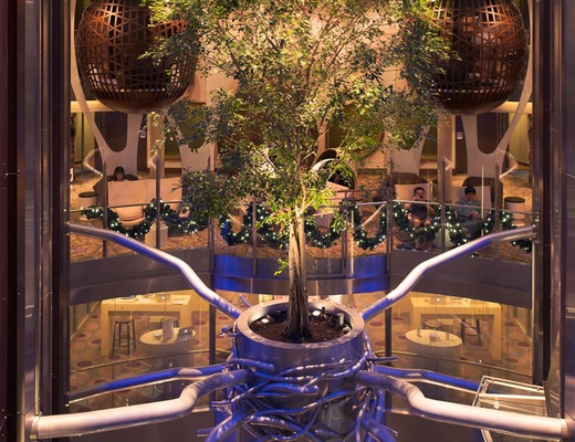 Image Celebrity Reflection 25