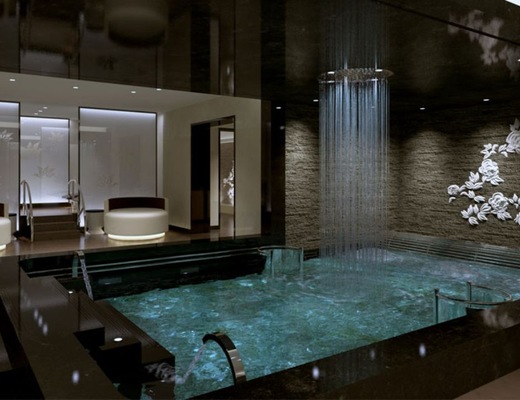 Piscine spa