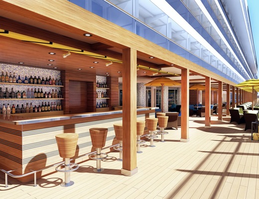 Image Carnival Vista 36