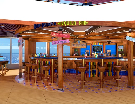 Image Carnival Vista 43