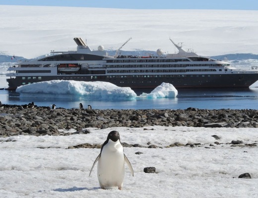 Image Le Austral 9